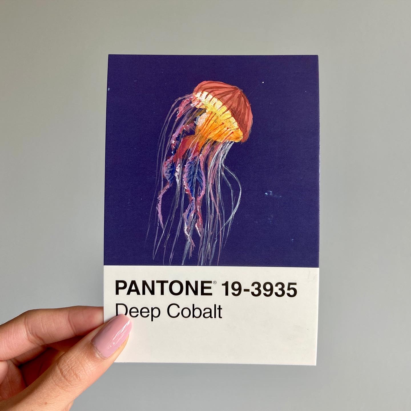 pantone 19-3935.JPG